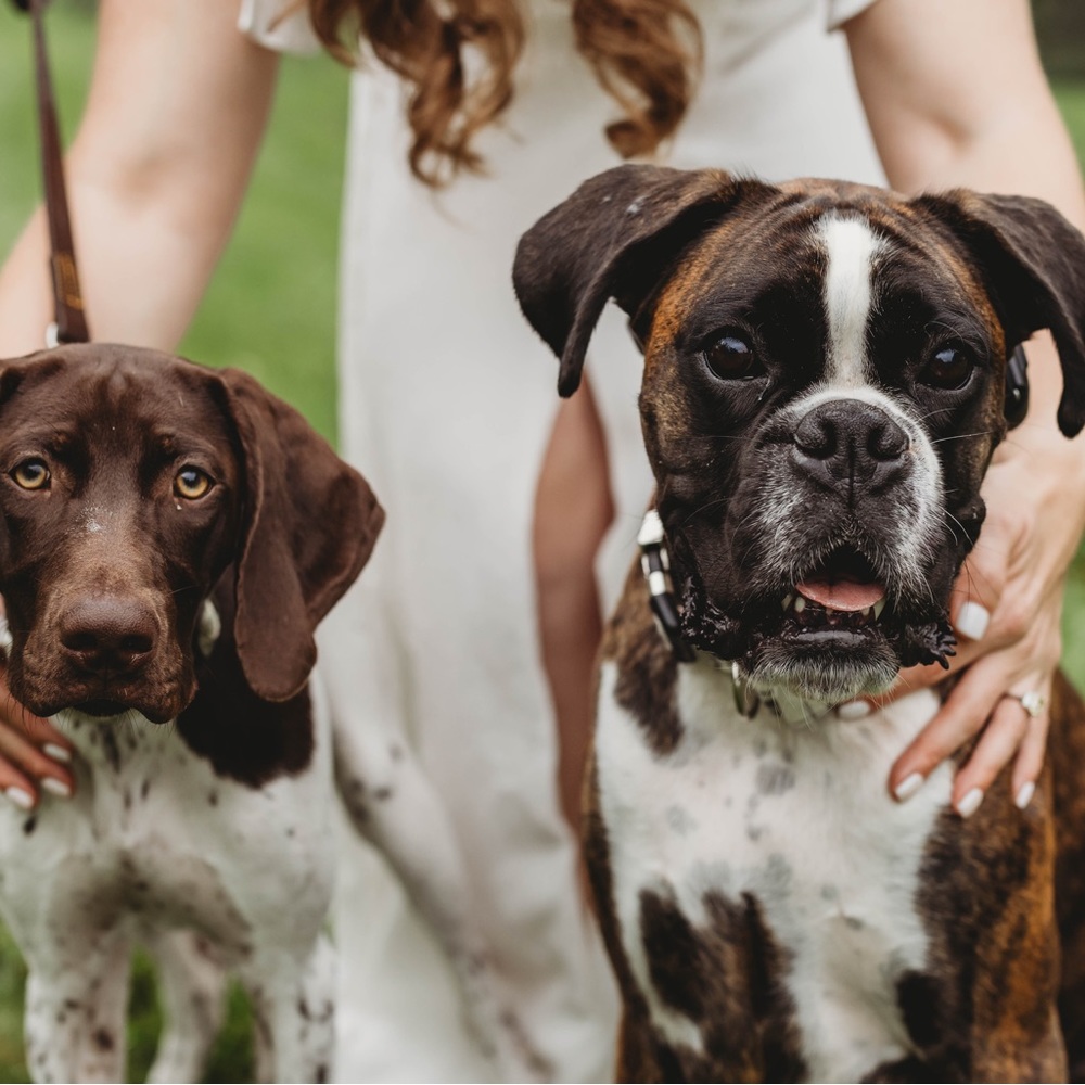 Meet your Posher, Emily and Braddock